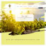 images/Portfolio/02-gw.png